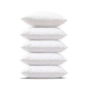 Pillows & Cushion Fillers